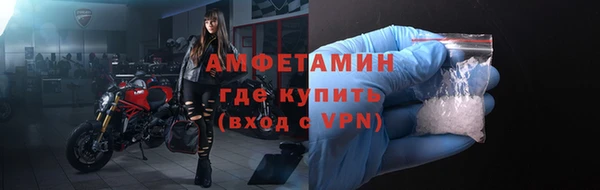 шишки Белоозёрский