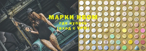 шишки Белоозёрский