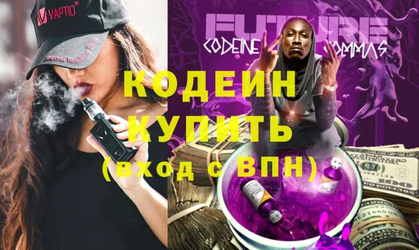 шишки Белоозёрский