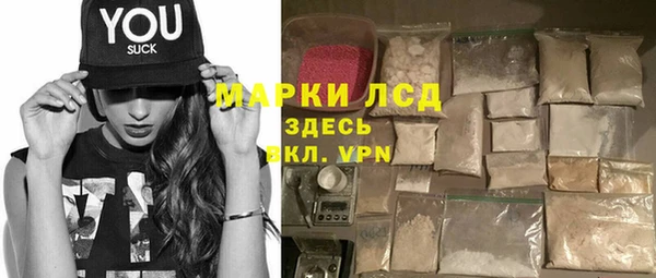 шишки Белоозёрский