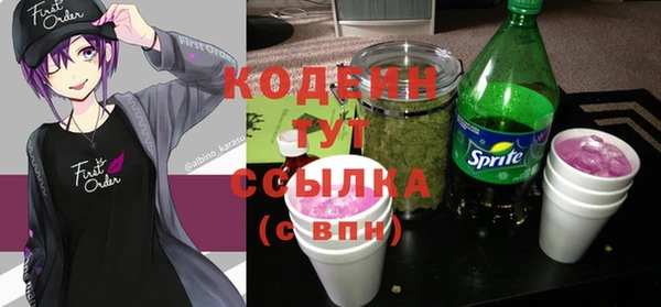 шишки Белоозёрский