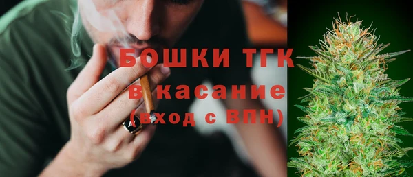 шишки Белоозёрский