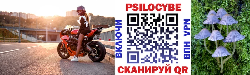 наркотики  Бородино  Галлюциногенные грибы мицелий 