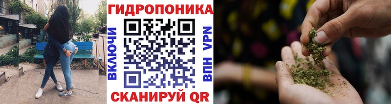 Канабис White Widow Бородино